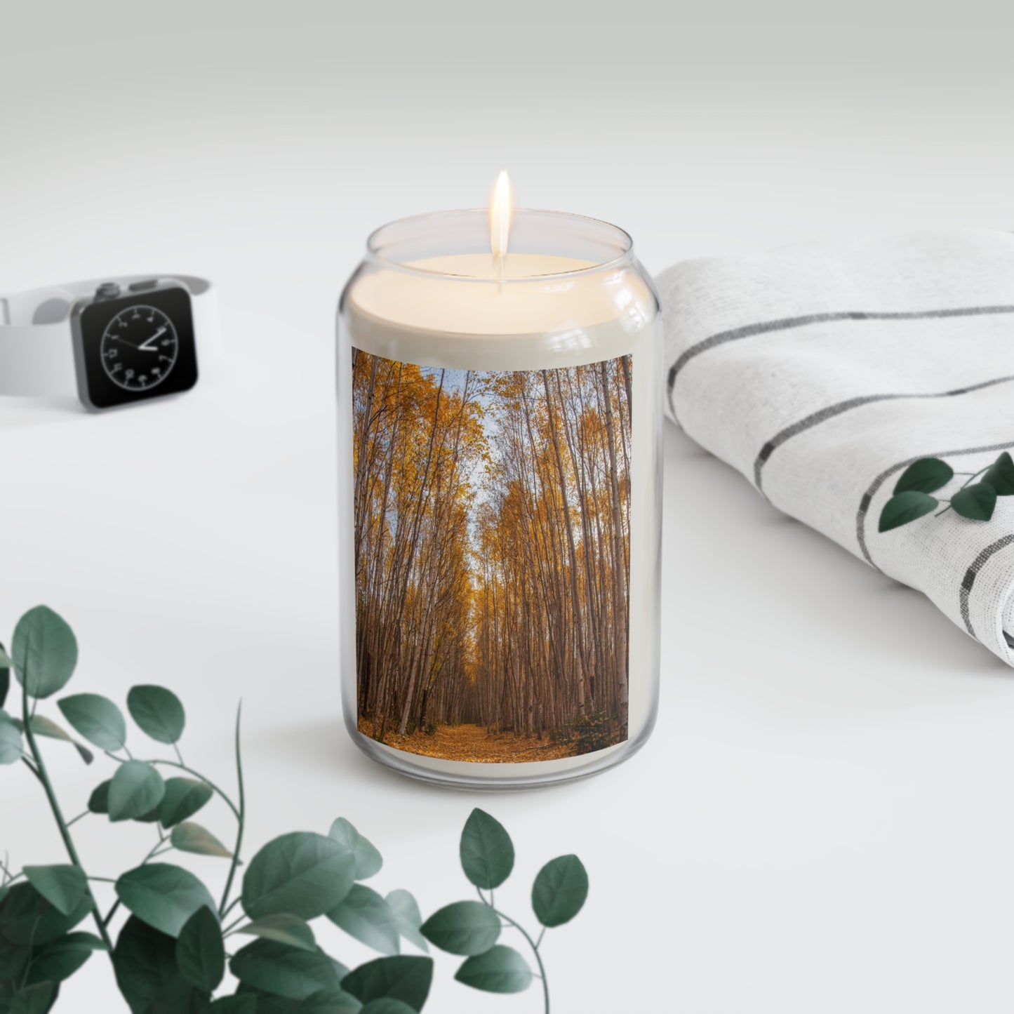 Alaska Aspen Scented Candle