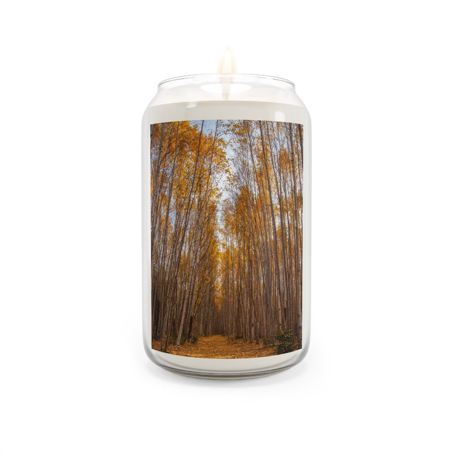 Alaska Aspen Scented Candle